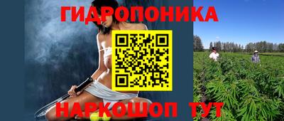 ECSTASY Комсомольск-на-Амуре