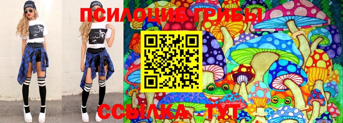 Псилоцибиновые грибы Psilocybe Камень-на-Оби
