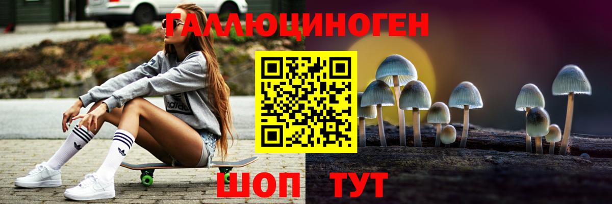 Галлюциногенные грибы мухоморы  Псилоцибиновые грибы Psilocybe  где продают наркотики  Вход с VPN  Камень-на-Оби 
